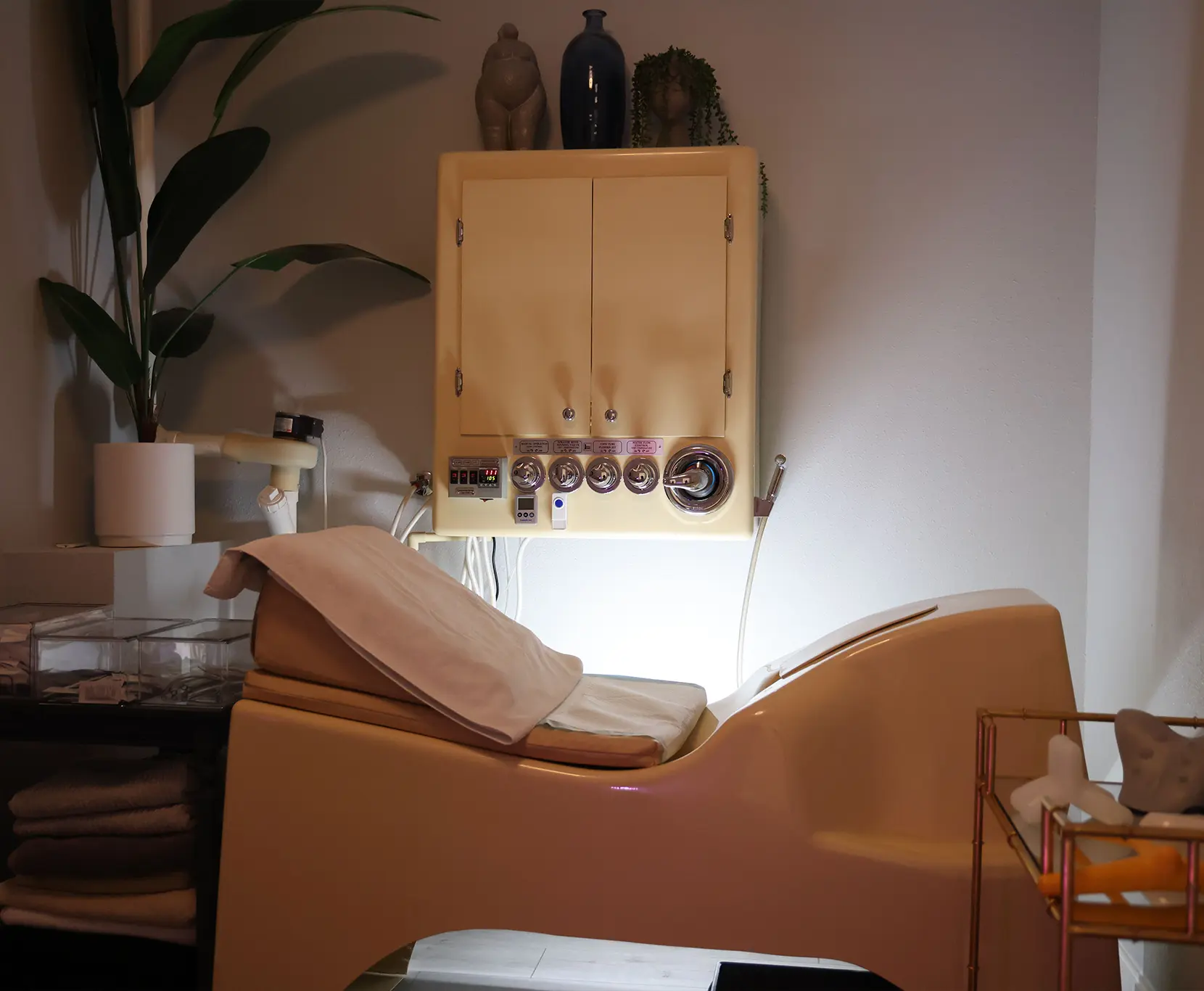 Flush Detox Day Spa Yanmu Digital Client Featured image 3